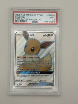 PSA 9 POKEMON 2020 SM BLACK STAR PROMO #SM242 EEVEE GX TAG TEAM POWER COLL MINT - Image 1