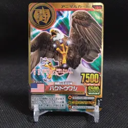 Bald Eagle Animal Kaiser Card Japan Japanese BANDAI No.A003 #q982 - Image 1