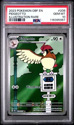 2023 POKEMON OBF EN-OBSIDIAN FLAMES ILLUSTRATION RARE #208 PIDGEOTTO PSA 10 - Image 1