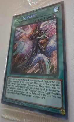 Soul Servant LDS3-EN095 Secret Rare Limited Edition YuGiOh TCG Card - Image 2