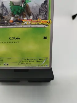 *RARE* Pokemon Card Skiddo 011/XY-P CoroCoro Super Hot Promo Japanese *NM* - Image 4