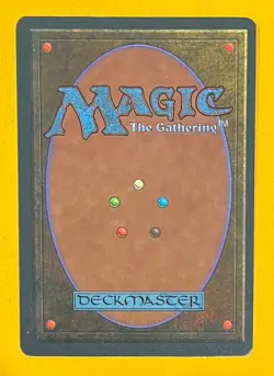 MTG ARMAGEDDON (French) Revised FBB (OldManMTG 008-948) - Image 2