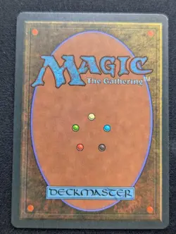 Merchant Scroll - Homelands - NM - MTG - Magic the Gathering - Blue - Sorcery - Image 4