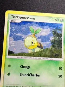 Tortipouss 103/130 Holo DP Diamant et Perle Carte Pokemon FR - Image 2