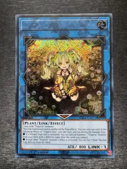 YuGiOh! Traptrix Sera RA04 - Error Misprint No Name No Imprint 1st Edition NM - Image 2
