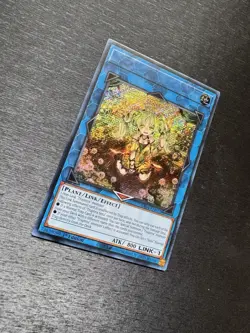 YuGiOh! Traptrix Sera RA04 - Error Misprint No Name No Imprint 1st Edition NM - Image 5