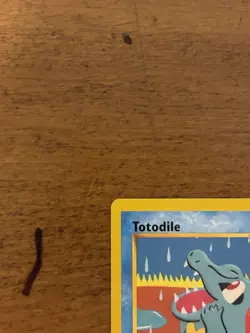 Pokemon Totodile Neo Destiny 1st Edition 85/105 Non-Holo LP - Image 2