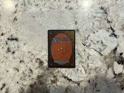 Mtg Tormod’s Crypt FBB - Magic the Gathering Fbb Tormod’s Crypt Black Border Lp - Image 2