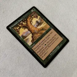 MTG [Moment's Peace] Odyssey #251/350 Regular Common NM/MT+ **Ships Free** - Image 2