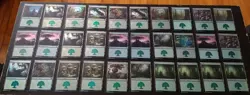40x Foil Basic Land Forest Magic The Gathering Card Lot /Used/MTG/ Assorted Sets - Image 1