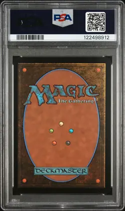 2025 MTG FINAL FANTASY BORDERLESS #0406 TRAVELING CHOCOBO PSA 10 - Image 2