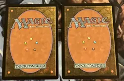 Magic the Gathering - MTG - 2x - Ajani's Welcome - Core Set 2019 - Commander - Image 2