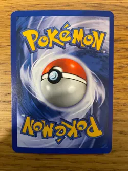 NEAR MINT! 1st Edition Raikou (13/64) Holo Neo Revelation Pokemon Card! - Image 2