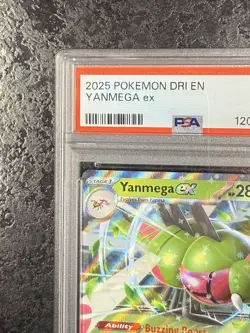 2025 POKEMON DRI EN YANMEGA ex #003 NM-MT PSA 8 - Image 3