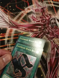 Legendary Black Belt TLM-EN045 Ultimate Rare - Image 4