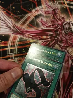 Legendary Black Belt TLM-EN045 Ultimate Rare - Image 5