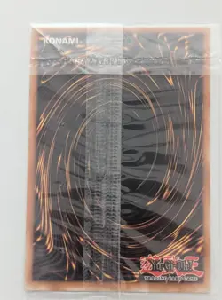 YU-GI-OH DARK PALADIN DMG-001 LIMITED EDITION SEALED TCG SECRET RARE PROMO CARD - Image 2