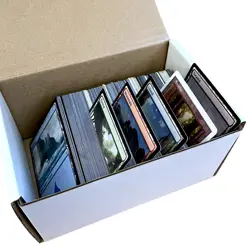 Magic the Gathering MTG 250 Card Lot Unsorted Mixed Cards All Lands MP to NM - Image 2