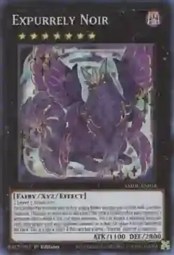 Expurrely Noir - AMDE-EN018 - Collector's Rare - 1st Edition NM YuGiOh! Amazing - Image 1