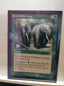 1x Call of the Herd - NM -Odyssey - MTG Magic near mint rare - Image 1
