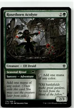 Rosethorn Acolyte 174 - Use Add 2 Ca Near Mint MTG | Buy 10 Get 10 Free - Image 1