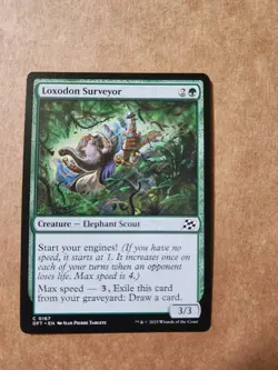 MTG Loxodon Surveyor #0167 Aetherdrift | Magic - Combine Ship 1-10 $4.88 - Image 1