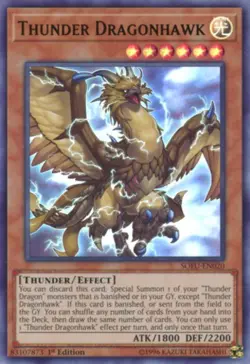 Thunder Dragonhawk - SOFU-EN020 - Ultra Rare - 1st Edition NM YuGiOh! Soul Fusi - Image 1