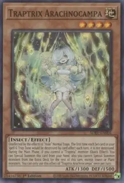 Traptrix Arachnocampa - SDBT-EN002 - Super Rare - 1st Edition LP YuGiOh! Struct - Image 1