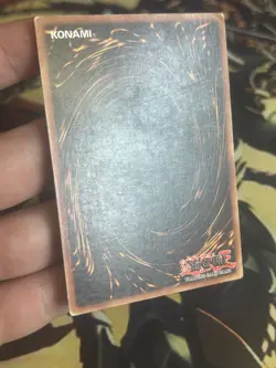 Yugioh: Mammoth Graveyard - SDY-010 - Common - 1st Eidtion - HP - Image 5