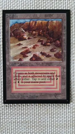 Plateau International Edition IE Mtg Dual Land Black Border NM - Image 1