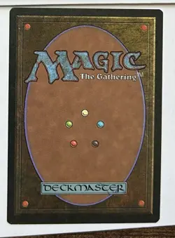 Tormod’s Crypt - The Dark 1994 MTG - NM Vintage Magic Card - Image 2