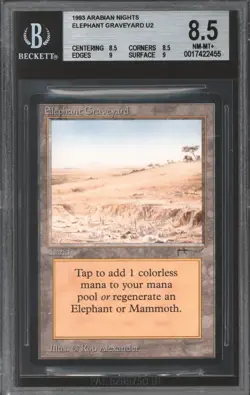 Magic MTG Arabian Nights Elephant Graveyard BGS 8.5 (8.5 8.5 9 9) NEAR MINT NM - Image 1