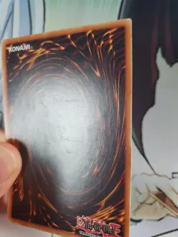 Solidarity SDLS-EN031 Common 1st Edition NM/LP Condition - Image 5