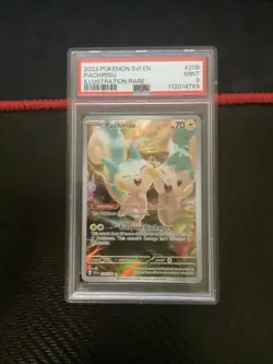 PSA 9 Pachirisu 208/198 Scarlet & Violet Illustration Rare Pokemon Card - Image 1