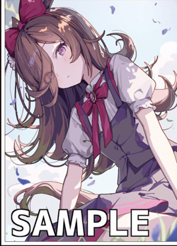 Uma Musume Pretty Derby Doujin Card Sleeve Protector japan anime - Image 1