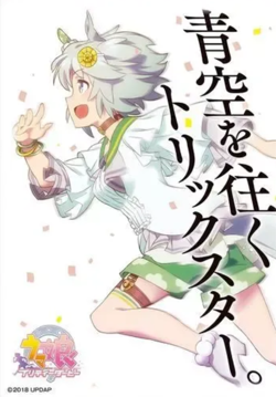 Uma Musume Pretty Derby Doujin Card Sleeve Protector japan anime - Image 1