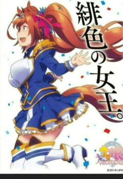 Uma Musume Pretty Derby Doujin Card Sleeve Protector japan anime - Image 1
