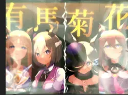 Uma Musume Pretty Derby　Doujin Card Sleeve Protector  japan anime - Image 1