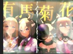 Uma Musume Pretty Derby　Doujin Card Sleeve Protector  japan anime - Image 2