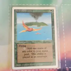MTG, 4 cards, City of Brass, Elvish Archers, Ashnod's Altar, Birds of Paradise - Image 5