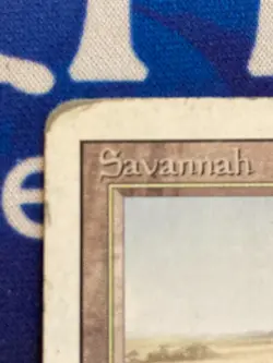 1x MTG Revised Edition Savannah Rare Magic: The Gathering Heavy Play Dual Land - Image 4