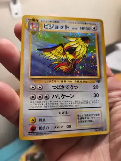 Pokemon TCG - Pidgeot No. 018 - Holo Rare - Jungle Wizards NM - Image 4