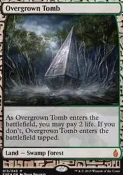 MTG English Overgrown Tomb NM Foil Zendikar Expeditions - Image 1