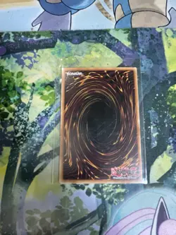 *** IB THE WORLD CHALICE JUSTICIAR *** SECRET RARE MINT/NM DANE-EN035 YUGIOH! - Image 2