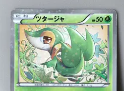 Set 4 Japan Pokemon Card Shiny Collection Snivy Serperior Stunfisk Elesa SC - Image 3