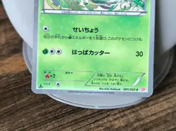 Set 4 Japan Pokemon Card Shiny Collection Snivy Serperior Stunfisk Elesa SC - Image 4