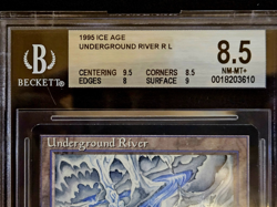 1995 MTG Ice Age Special rare Lands (Brushland, Glacial Chasm, Veldt) BGS Mint - Image 3