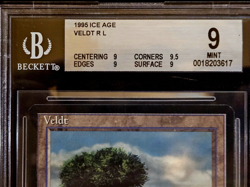 1995 MTG Ice Age Special rare Lands (Brushland, Glacial Chasm, Veldt) BGS Mint - Image 4