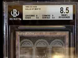 1995 MTG Ice Age Special rare Lands (Brushland, Glacial Chasm, Veldt) BGS Mint - Image 5