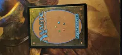 Viv Ornitier Regular Mystic Rare Final Fantasy MTG NM Non-Foil - Image 2
